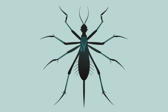 Vector Illustration of a Water Strider: A Versatile Design for Creative Professionals